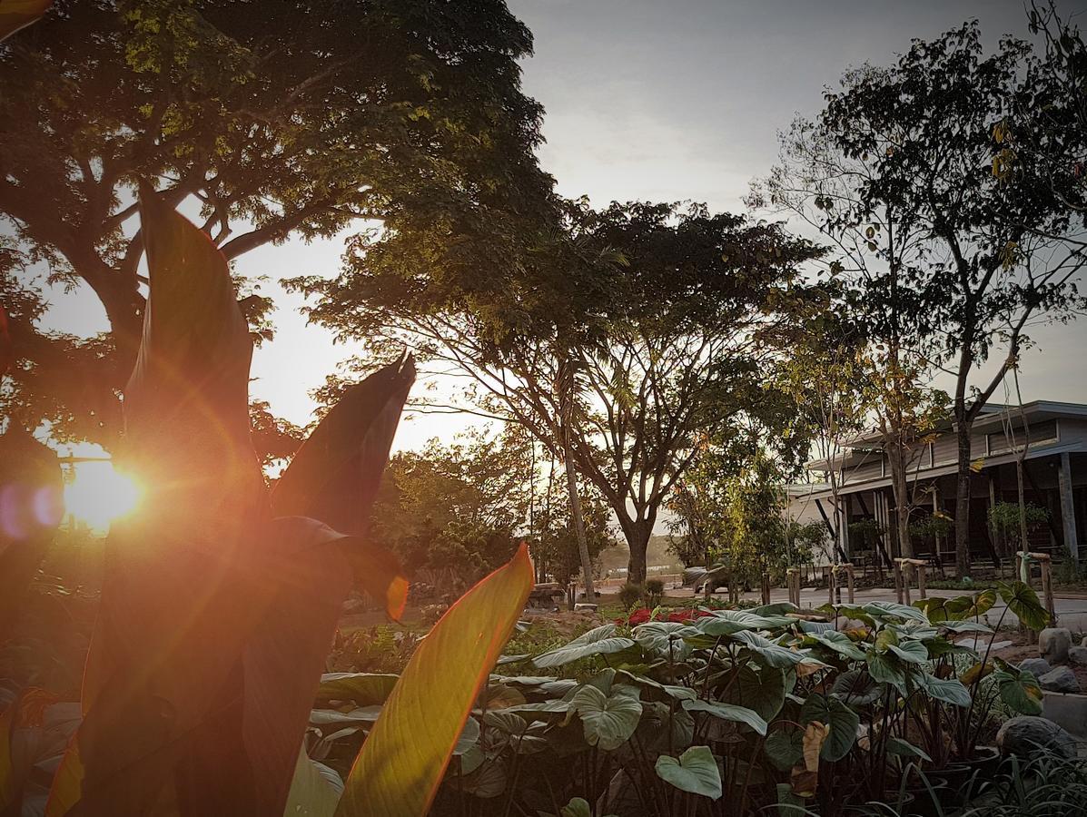 Dd Garden Home Phayao Dış mekan fotoğraf